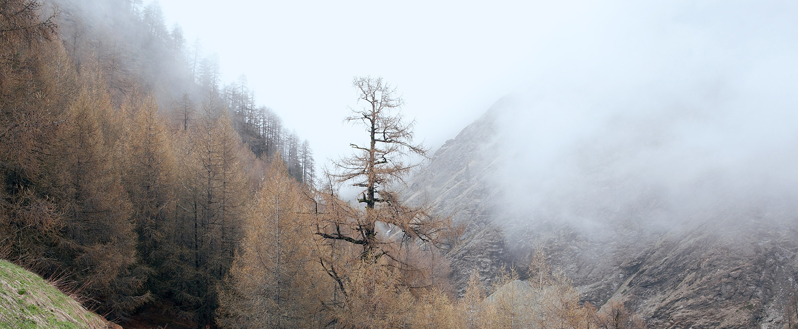 网页DDOS攻击平台